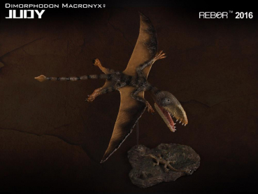 Dimorphodon macronyx "Judy" 1:6 Replik, 18 cm