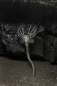 Preview: Alien 40th Anniversary