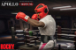 Preview: Apollo Creed Action Figure 1/6 Deluxe Version, Rocky, 30 cm