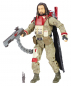 Preview: Baze Malbus Black Series