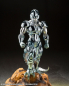 Preview: Metal Cooler Actionfigur S.H.Figuarts Web Exlusive, Dragon Ball Z, 14 cm