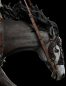 Preview: Eomer on Firefoot