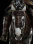 Preview: Eomer on Firefoot