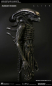 Preview: Gigers Alien 1/3