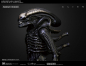 Preview: Gigers Alien 1/3