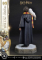 Preview: Harry Potter with Hedwig Statue 1:6 Prime Collectibles, 28 cm