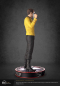 Preview: Captain James T. Kirk Museum Statue 1/3, Star Trek, 64 cm