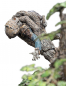 Preview: Leaflock the Ent Statue 1/6, The Lord of the Rings, 76 cm