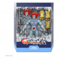 Preview: Lion-O (Hook Mountain Ice) Actionfigur Ultimates SDCC Exclusive, ThunderCats, 18 cm