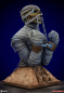 Preview: Powerslave Eddie Bust, Iron Maiden, 30 cm