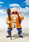 Preview: Master Roshi