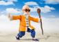 Preview: Master Roshi