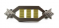 Preview: Captain Spock Rank Pin