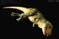 Preview: T-Rex Carcass