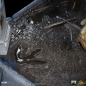 Preview: T-Rex attacks Donald Gennaro Statue 1/20 Demi Art Scale, Jurassic Park, 30 cm