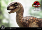 Preview: Velociraptor (Open Mouth) Statue 1:10 Prime Collectibles, Jurassic Park, 19 cm