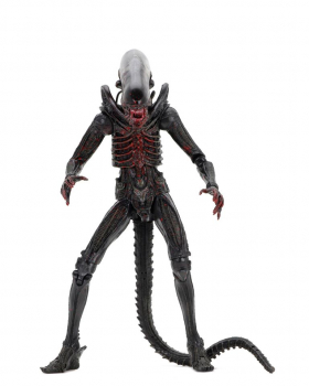 Alien 40th Anniversary