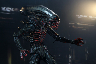 Alien 40th Anniversary