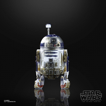 40th Anniversary Wave 2