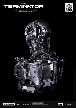 T-800 Endoskeleton Skull Life-Size Büste, Terminator, 50 cm