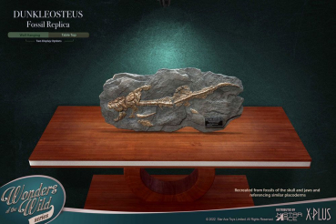 Dunkleosteus Fossil Replica Wonders of the Wild, 42 cm