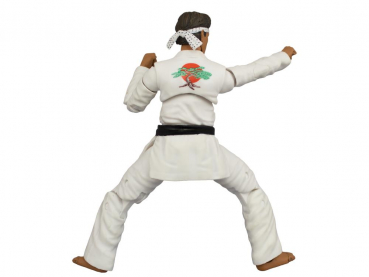 Daniel Larusso