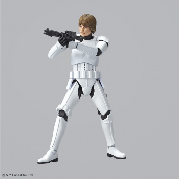 Luke Skywalker Model Kit