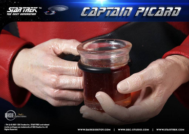 Captain Picard Statue 1/3, Star Trek: The Next Generation, 66 cm