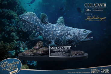 Coelacanth Statue Wonders of the Wild, 28 cm