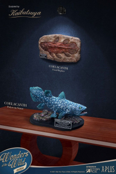 Coelacanth Statue (Deluxe Ver.) Wonders of the Wild, 28 cm