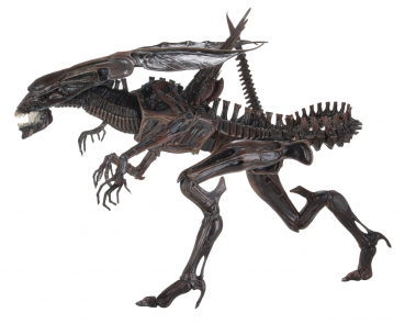 Alien Queen Resurrection