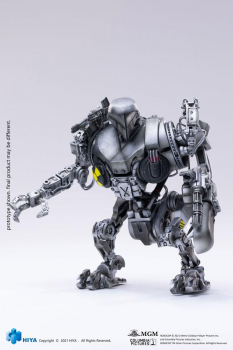 RoboCain