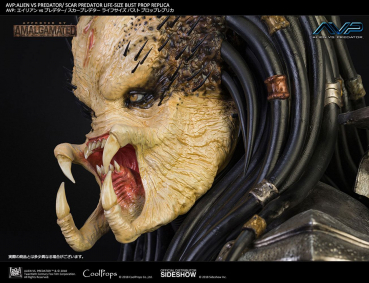Scar Predator Bust 1/1