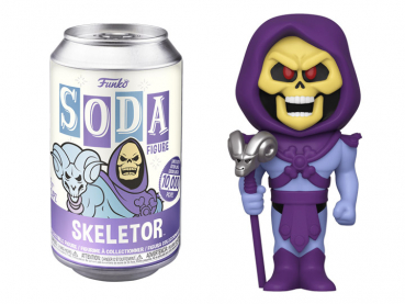 Vinyl Soda Skeletor