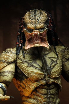 Assassin Predator