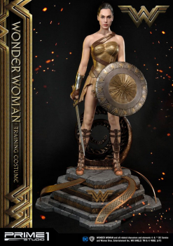 Wonder Woman Training Costume