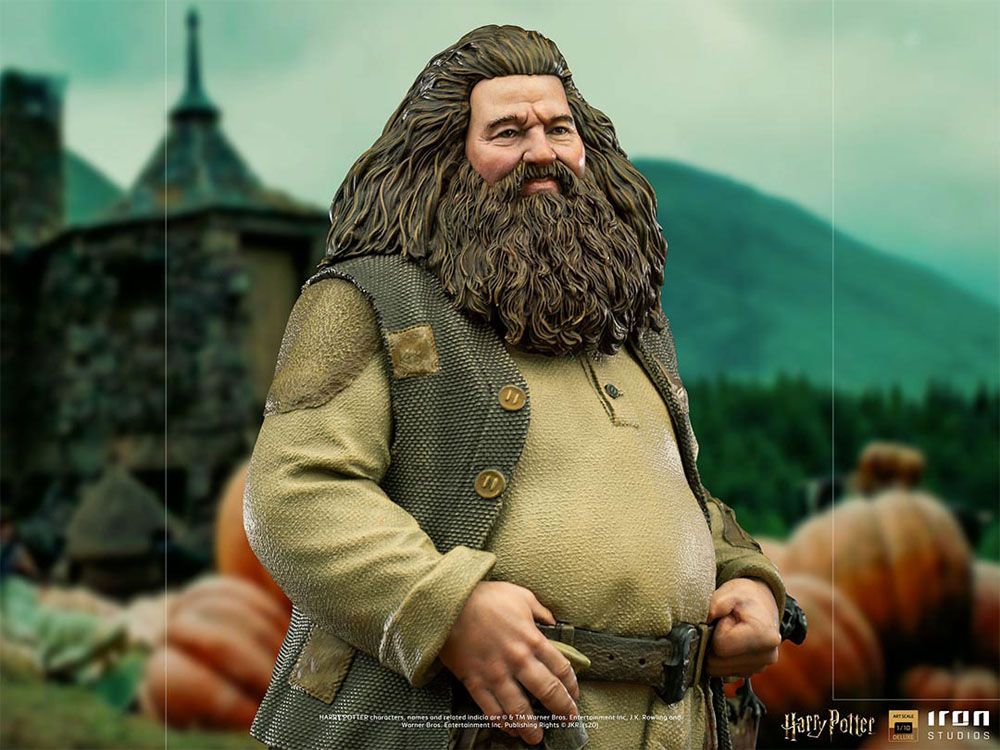 Men's Deluxe Harry Potter Hagrid Costume