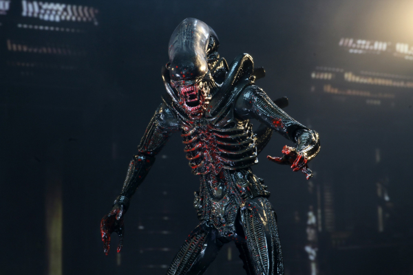 Alien 40th Anniversary