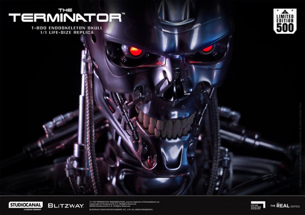 T-800 Endoskeleton Skull Life-Size Büste, Terminator, 50 cm