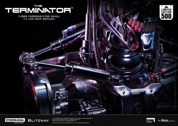 T-800 Endoskeleton Skull Life-Size Büste, Terminator, 50 cm
