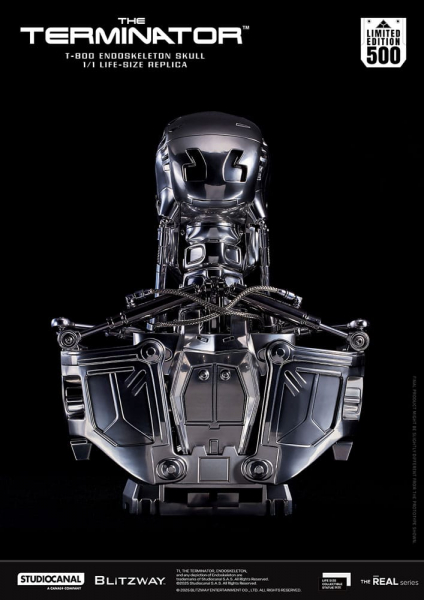 T-800 Endoskeleton Skull Life-Size Büste, Terminator, 50 cm