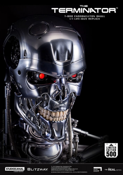 T-800 Endoskeleton Skull Life-Size Büste, Terminator, 50 cm