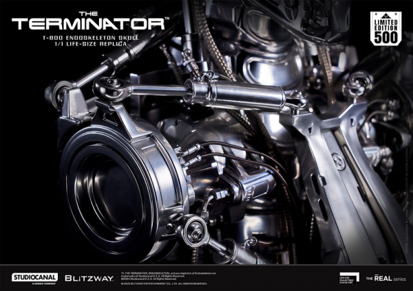 T-800 Endoskeleton Skull Life-Size Büste, Terminator, 50 cm