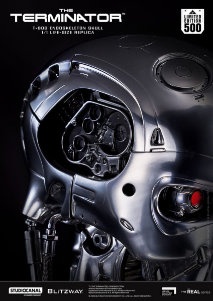 T-800 Endoskeleton Skull Life-Size Büste, Terminator, 50 cm