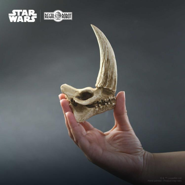 Mudhorn Skull
