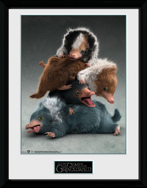 Nifflers Framed Poster