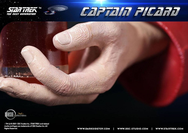 Captain Picard Statue 1/3, Star Trek: The Next Generation, 66 cm