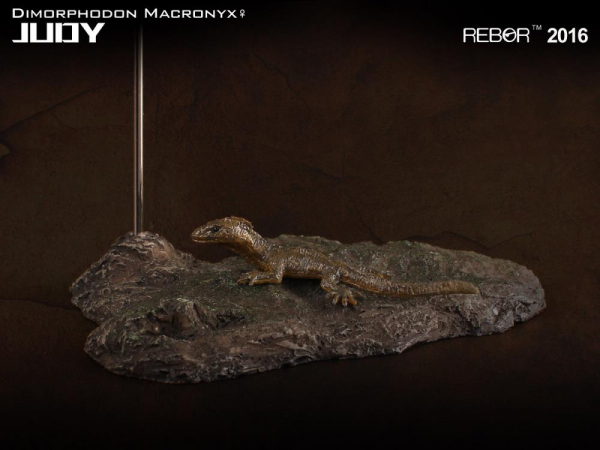 Dimorphodon macronyx "Judy" 1/6 Replica, 18 cm