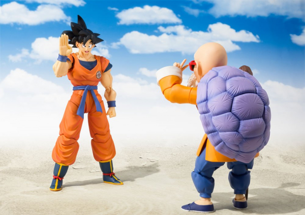 Master Roshi
