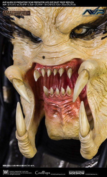 Scar Predator Bust 1/1